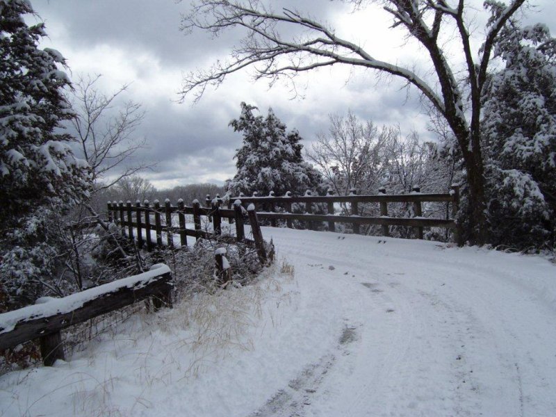 Winter Entrance